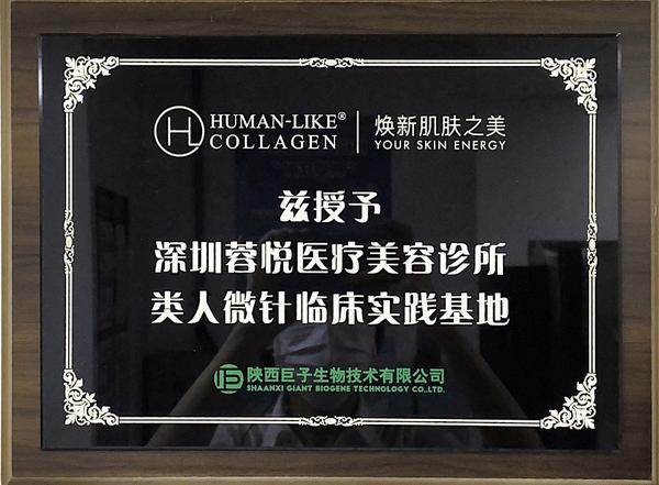 机构荣誉授牌